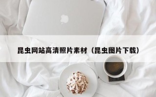 赣州昆虫网站高清照片素材（昆虫图片下载）